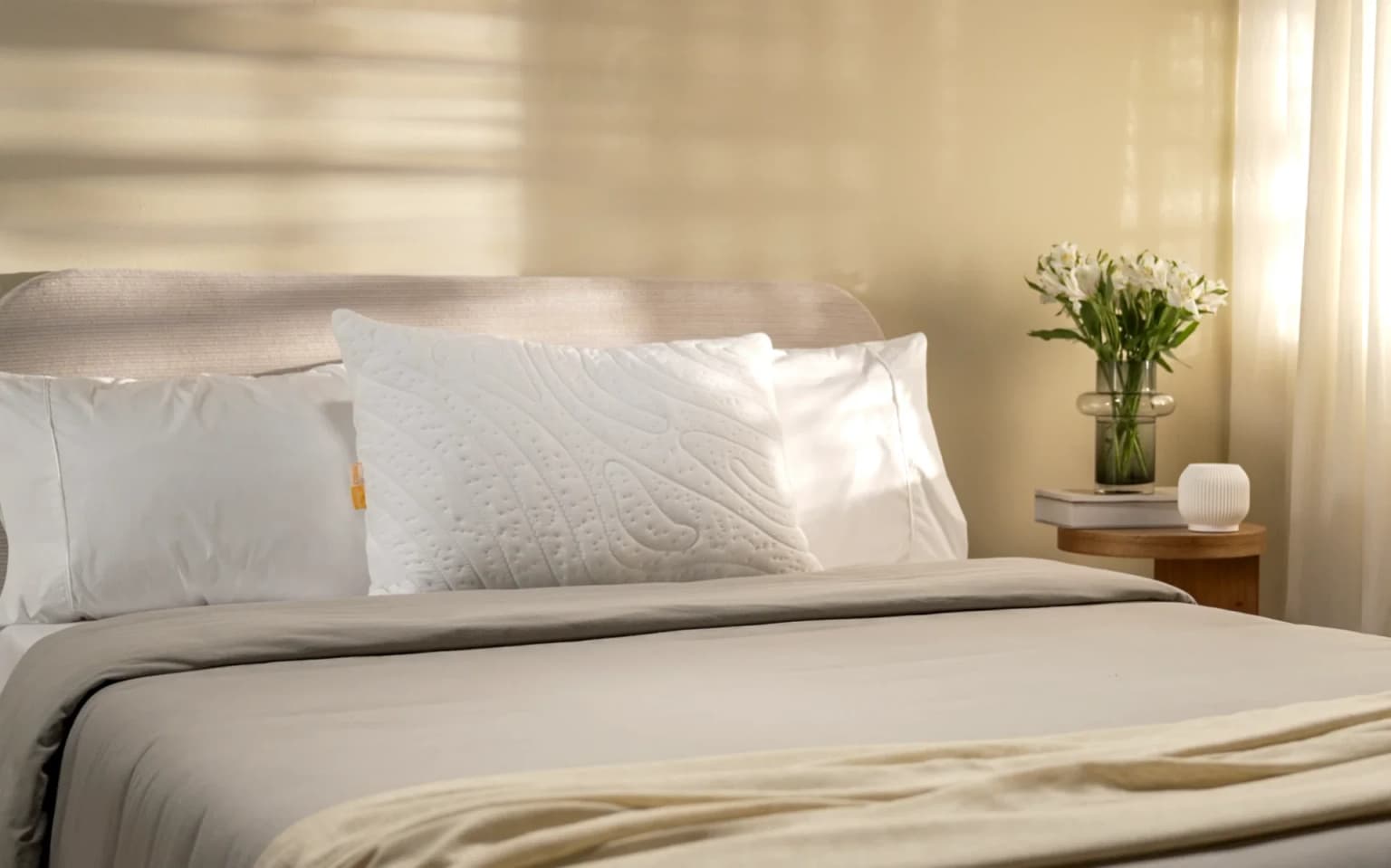 Almohada Max Pluma